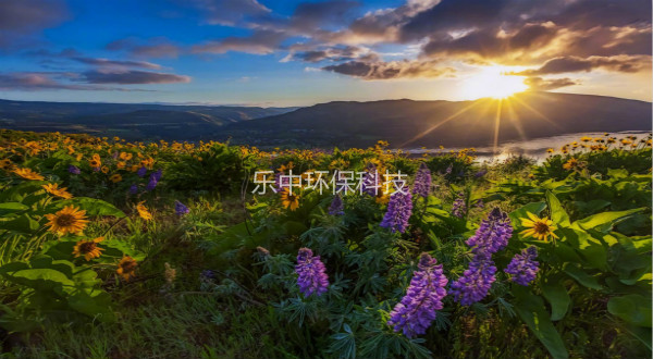 污水處理廠活性污泥法日常管理中，需要監(jiān)測與注意的參數-樂中環(huán)保