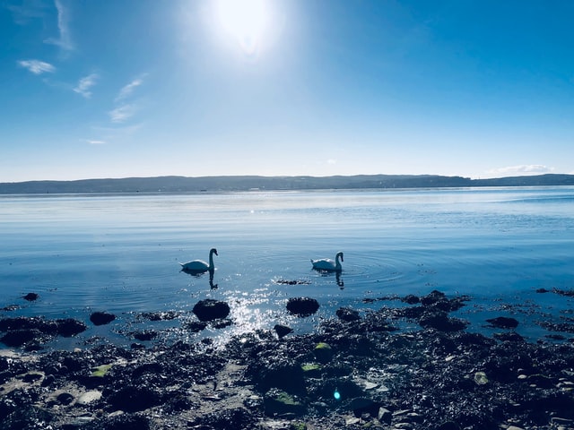 養(yǎng)殖廢水如何處理-污水處理設(shè)備-青島樂(lè)中環(huán)保科技有限公司