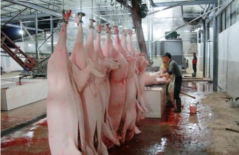 屠宰廢水處理方法有哪些？屠宰廢水處理設(shè)備價(jià)格？-01