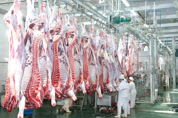 屠宰廢水處理方法有哪些？屠宰廢水處理設(shè)備價(jià)格分享