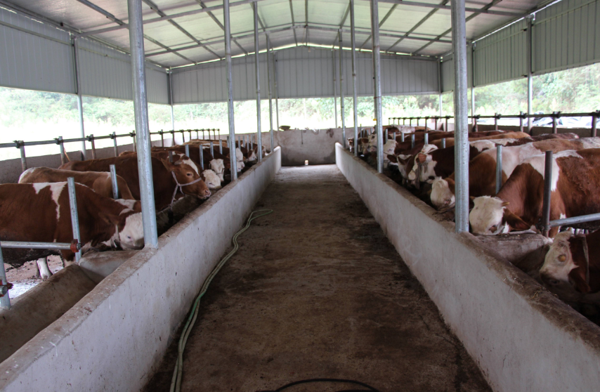 養(yǎng)殖場污水處理方法，養(yǎng)殖污水處理設(shè)備的用途講解02