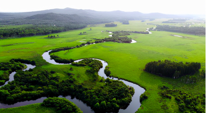哈爾濱大量污水未經(jīng)處理直排松花江，會對當(dāng)?shù)芈糜螛I(yè)帶來哪些影響