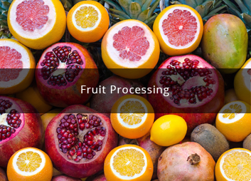 食品廠污水處理新思路，印度食品污水處理經(jīng)驗(yàn)淺析01