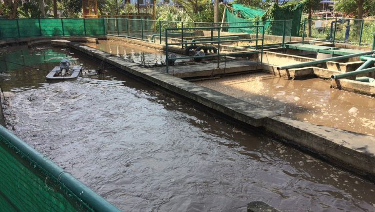 食品加工污水處理流程有哪些？如何更好的處理食品廢水？