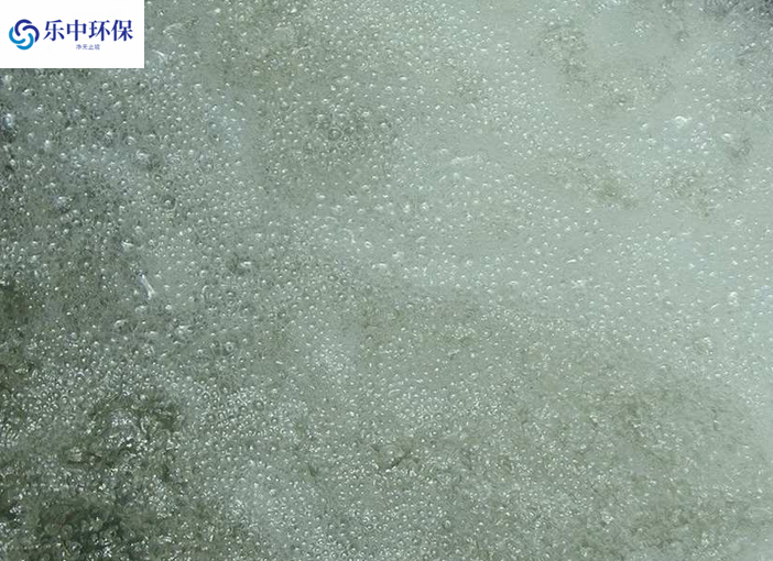 溶氣氣浮機(jī)泡沫多什么原因？如何解決？