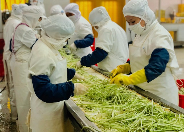 三種食品污水處理設(shè)備工藝流程，看看哪種適合您？